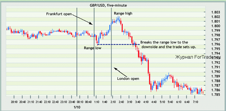 fx option trader forums