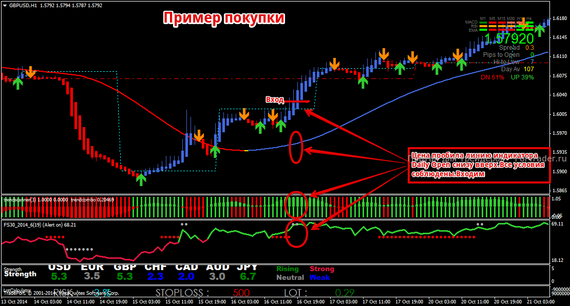 daily open trading system