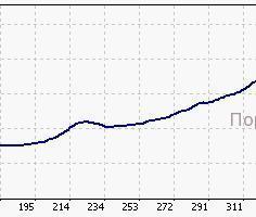 Forex zealot