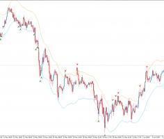 Forex tma nrp