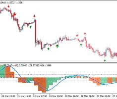 Forex tma nrp